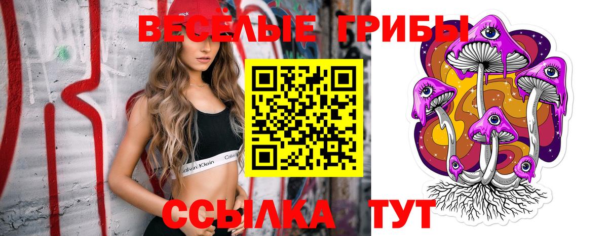 Псилоцибиновые грибы мицелий Уссурийск