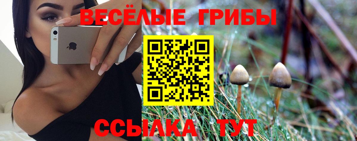 Уссурийск  Псилоцибиновые грибы GOLDEN TEACHER  Вход с VPN 